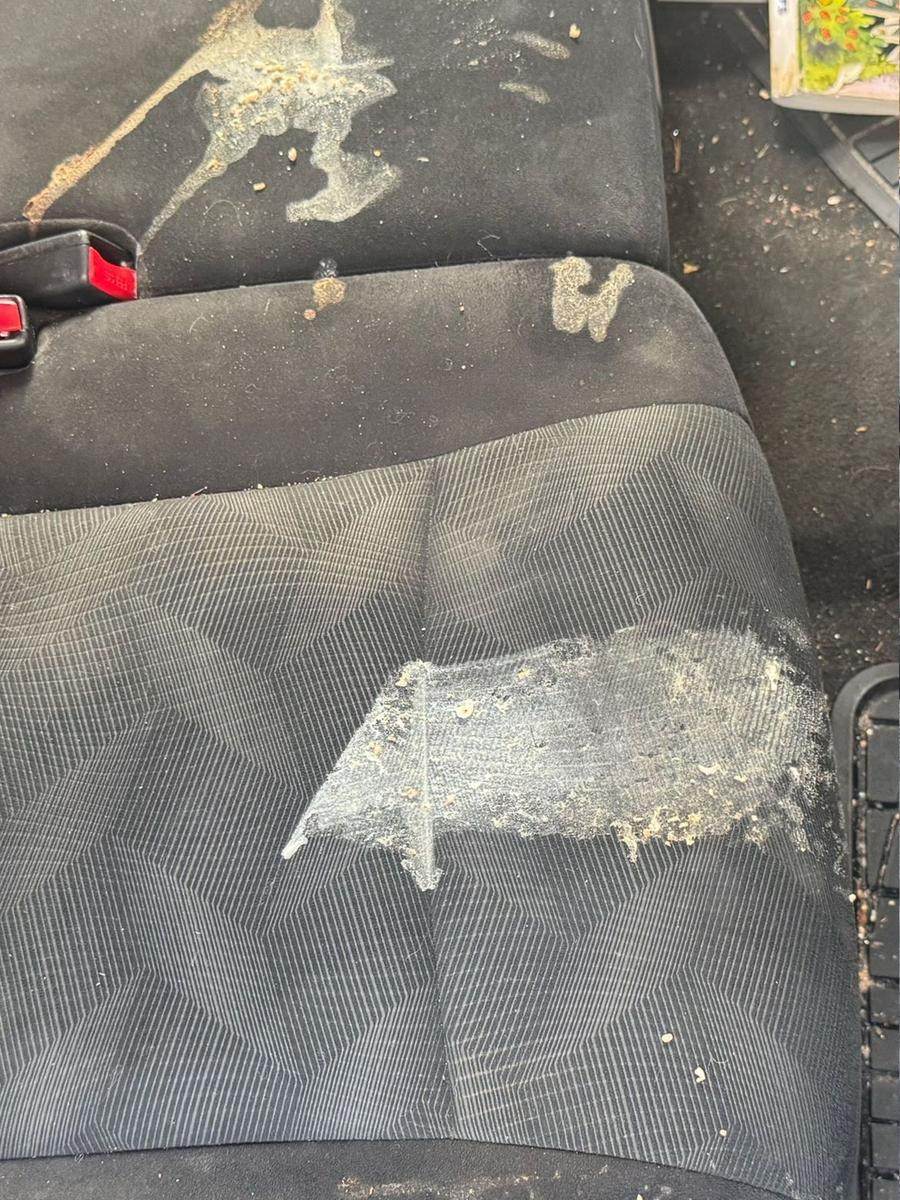 Asiento con manchas antes del detallado